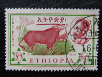[Ethiopian Fauna, тып ML]