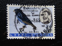 [Airmail - Birds, Tipi NW]