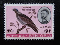 [Airmail - Ethiopian Birds, Scrivi QA]