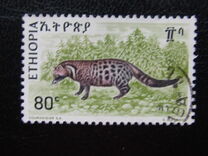[Animals, type ZM]