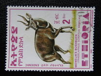 [Menelik´s Bushbuck, type AZF19]