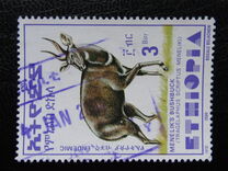 [Menelik´s Bushbuck, type AZF20]