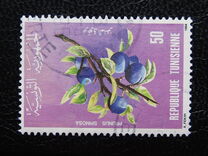 [Plants, ประเภท AFR]