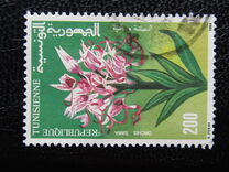 [Plants, ประเภท AFT]