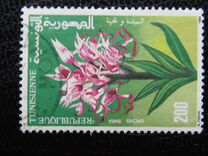 [Plants, ประเภท AFT]