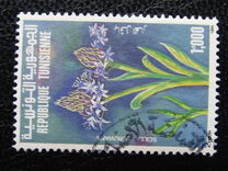 [Plants, ประเภท AFU]