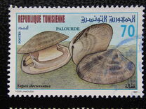 [Molluscs, 类型 AIL]