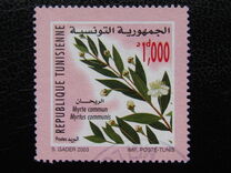 [Animals and Plants, type AQG]