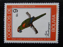 [Parrots, type YX]