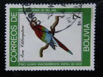 [Parrots, type YV]