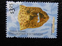 [Argentine Culture, タイプ CKG]