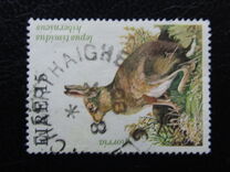 [Game Animals, type GT]