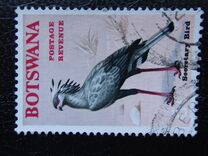 [Birds, тып W]