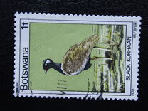 [Birds, type GP]