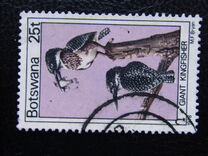 [Birds, type GY]