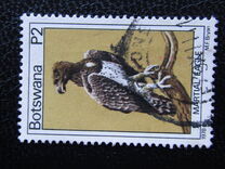 [Birds, type HE]
