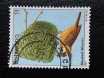 [Birds, tyyppi KM]