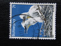 [Birds, tyyppi KS]