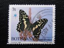 [Christmas - Butterflies, տեսակ MM]