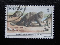 [Animals of Botswana, tegund OQ]