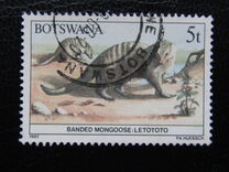 [Animals of Botswana, tegund OQ]
