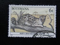 [Animals of Botswana, tegund OR]