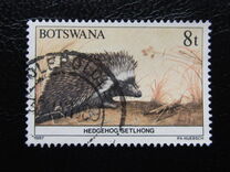[Animals of Botswana, tegund OS]