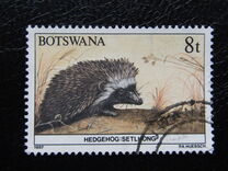 [Animals of Botswana, tegund OS]
