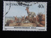 [Animals of Botswana, tegund PA]