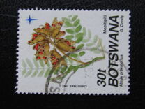 [Christmas - Seed Pods, type SJ]