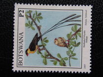 [Birds, type XS]