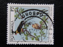 [Birds, type XS]