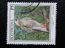[Birds, type XU]