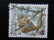 [Mammals, type ABS]
