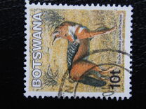 [Mammals, type ABT]