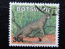 [Mammals, type ABV]