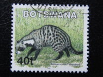 [Mammals, type ABW]