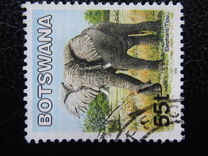 [Mammals, type ABX]