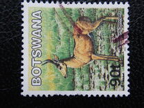 [Mammals, type ABY]