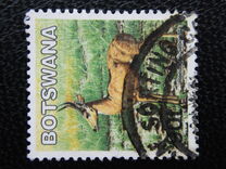 [Mammals, type ABY]