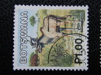 [Mammals, type ABZ]