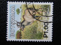 [Mammals, type ABZ]