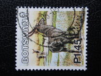[Mammals, type ACA]