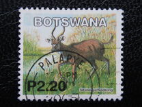 [Mammals, type ACC]