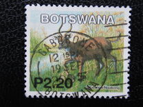 [Mammals, type ACC]