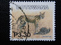 [Mammals, type ACE]