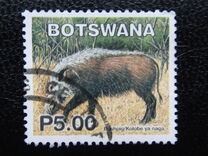 [Mammals, type ACG]