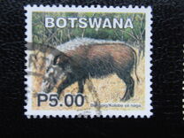 [Mammals, type ACG]