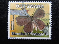 [Butterflies, type AGC]