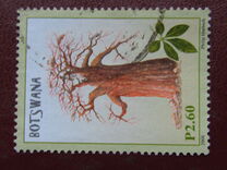 [Artists in Botswana, type AGL]